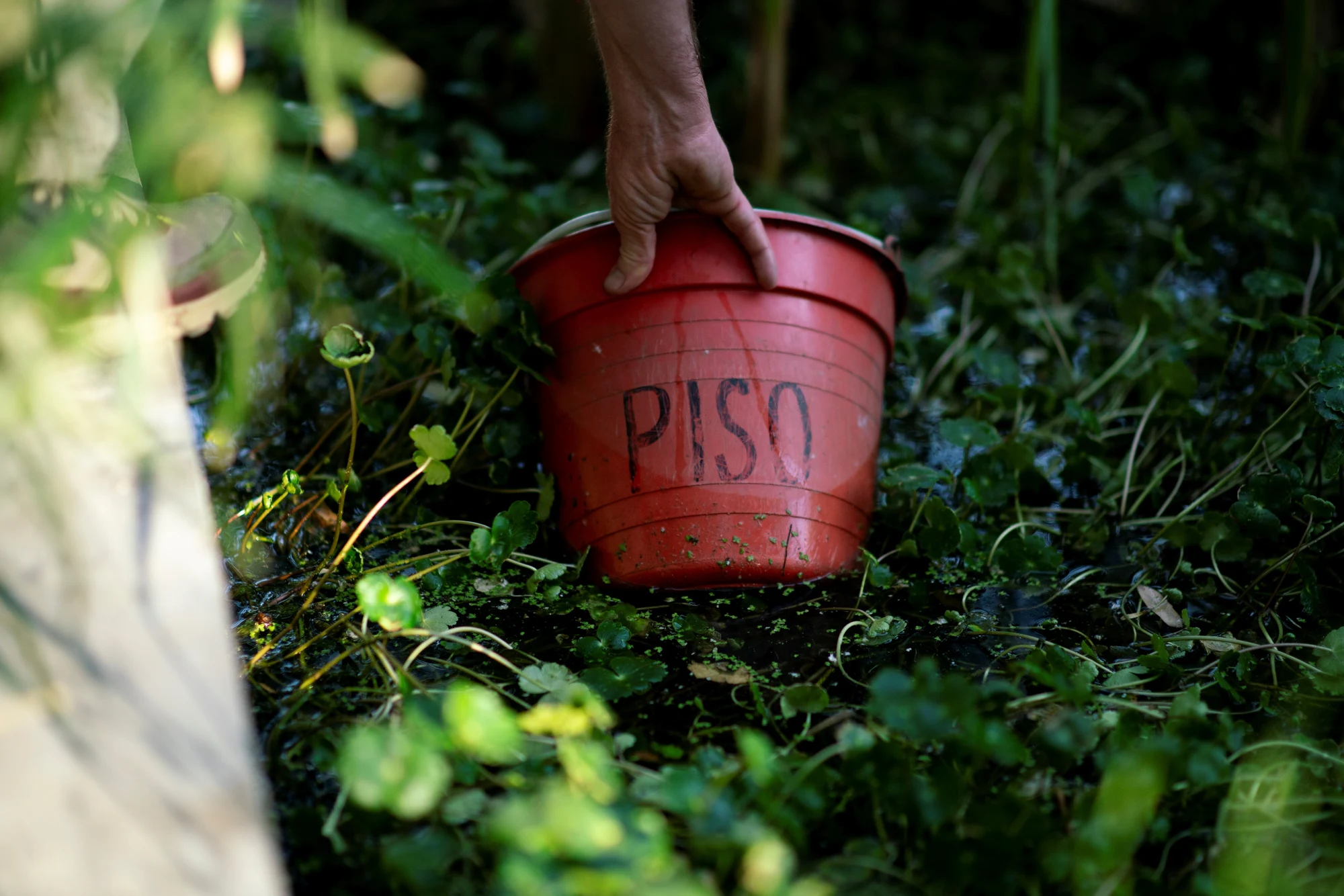 Muestreo de agua en un humedal artificial