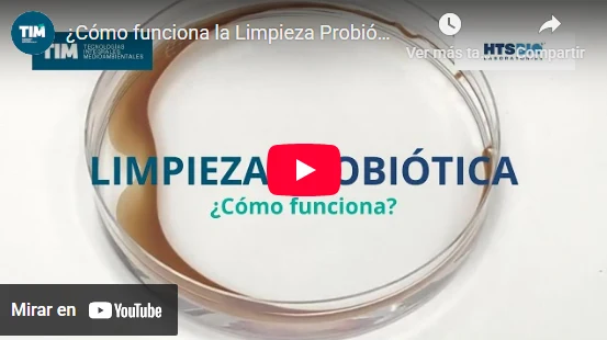 Video: cómo funciona la limpieza probiótica