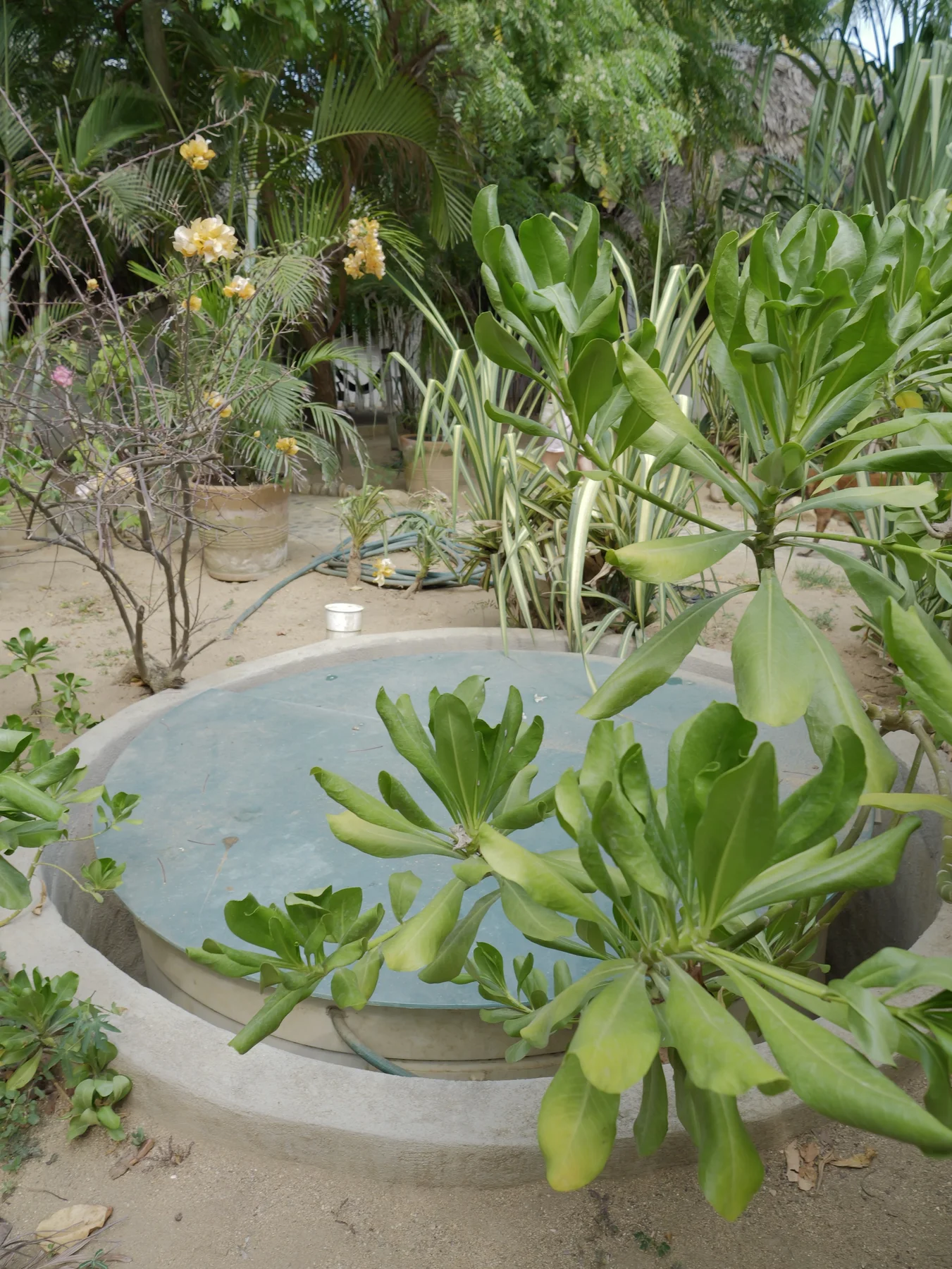Eco-Hotels & Glamping